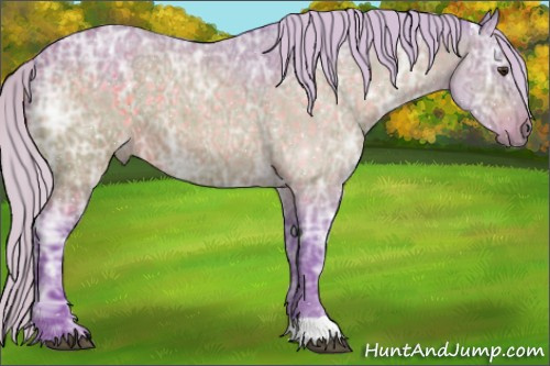 Horse Color:Watercolor Silver Brown Ice Roan 