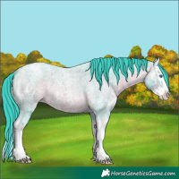 Horse Color:Watercolor Brown Ice Roan Splash 