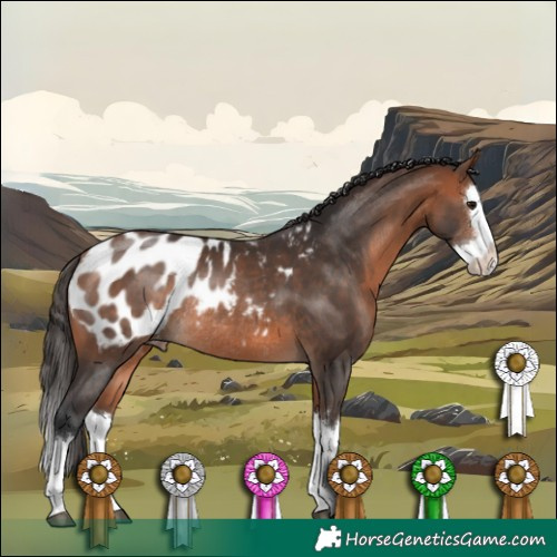 Horse Color:Bay Sabino Splash Appaloosa Rabicano 