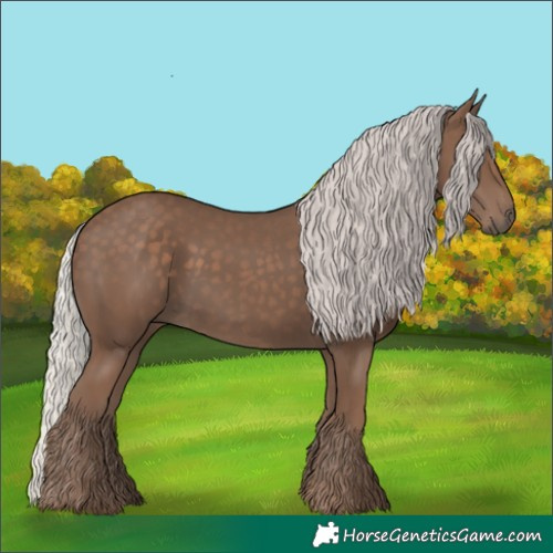 Horse Color:Silver Black 