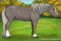 Horse Color:Silver Blue Roan Sabino 