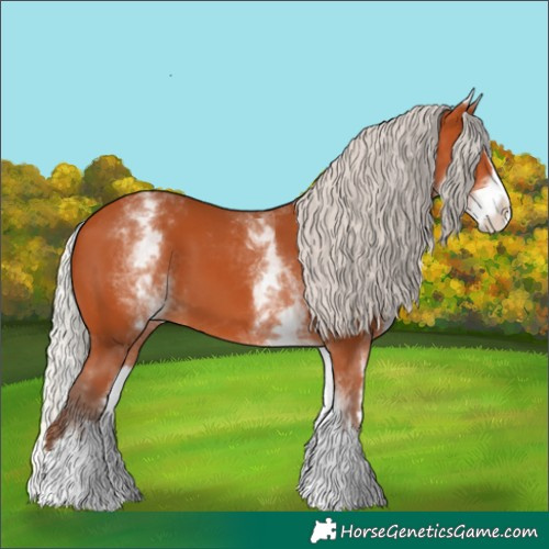 Horse Color:White Spotted Silver Bay Splash 