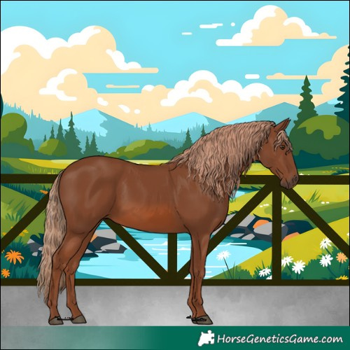Horse Color:Chestnut 