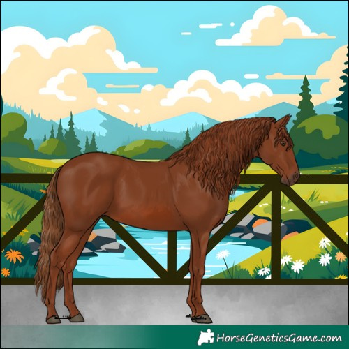 Horse Color:Chestnut 