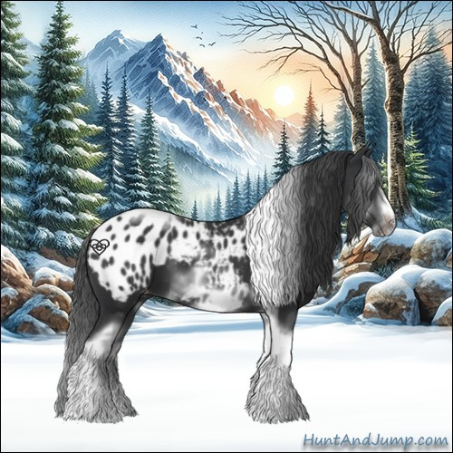 Horse Color:White Spotted Black Splash Tobiano Frame Appaloosa 