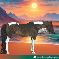 Horse Color:Buckskin Tobiano