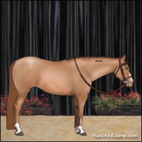 Horse Color:Brown Pearl Sabino 