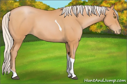 Horse Color:Silver Bay Pearl Tobiano 