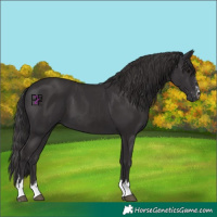 Horse Color:Smoky Black and Smoky Black
