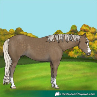 Horse Color:Silver Smoky Black 