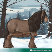Horse Color:Liver Red Dun Rabicano 