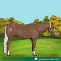 Horse Color:Silver Black 