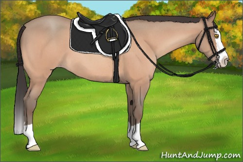 Horse Color:Amber Champagne Roan Splash