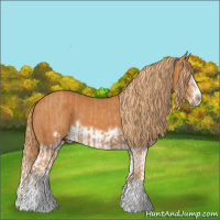 Horse Color:Chestnut Splash Frame  and Chestnut Splash Frame 
