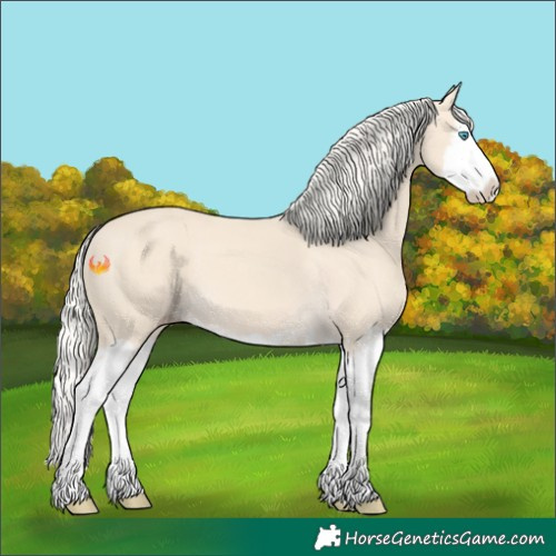 Horse Color:Cremello Splash  and Cremello Splash 