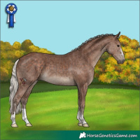 Horse Color:Silver Black
