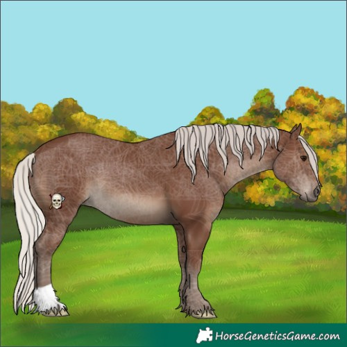 Horse Color:Silver Black 