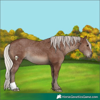 Horse Color:Silver Black 