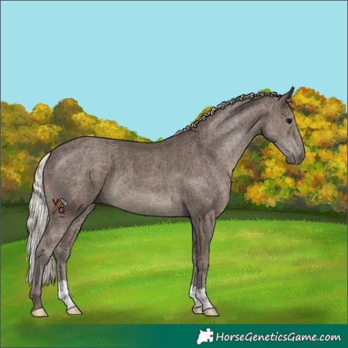 Horse Color:Silver Black 