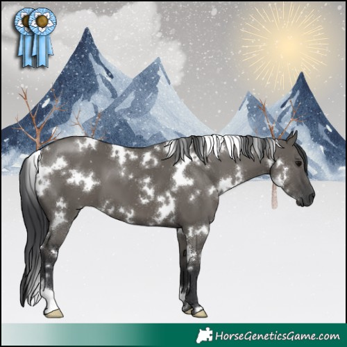 Horse Color:White Spotted Grullo