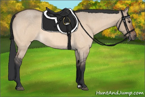 Horse Color:Bay Roan Dun