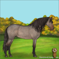 Horse Color:Liver Red Dun Roan Rabicano 
