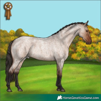 Horse Color:Liver Red Dun Roan Rabicano
