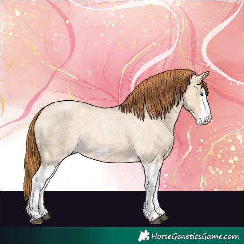 Horse Color:Red Dun Roan Splash Frame Rabicano