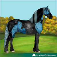 Horse Color:ERROR: UNKNOWN ANOMALY