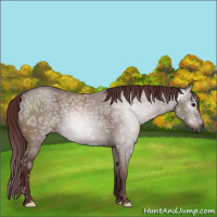Horse Color:Gray Chocolate Grullo Ice