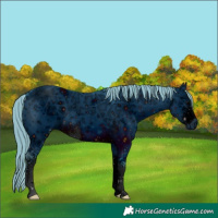 Horse Color:ERROR: UNKNOWN ANOMALY