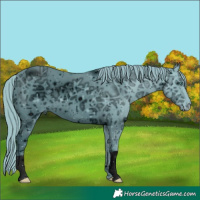 Horse Color:ERROR: UNKNOWN ANOMALY