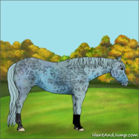 Horse Color:ERROR: UNKNOWN ANOMALY