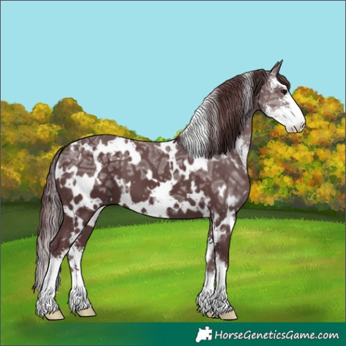 Horse Color:White Spotted Chocolate Black Ice Sabino