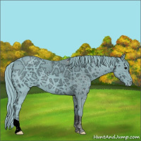 Horse Color:ERROR: UNKNOWN ANOMALY