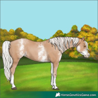 Horse Color:White Spotted Silver Black Pearl Splash