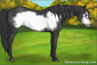 Horse Color:Black Frame 