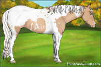 Horse Color:Silver Classic Champagne Tobiano Appaloosa 