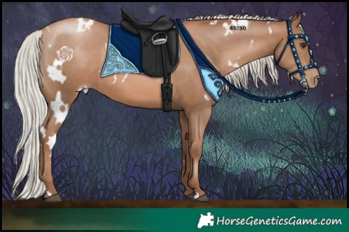 Horse Color:White Spotted Silver Black Pearl 