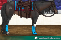 Horse Color:Brown Tobiano 