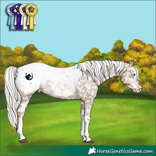 Horse Color:White Spotted Liver Chestnut Pearl Mushroom Sabino Splash Snowcap Rabicano 