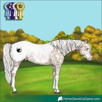 Horse Color:White Spotted Liver Chestnut Pearl Mushroom Sabino Splash Appaloosa Rabicano