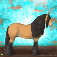 Horse Color:Buckskin 