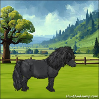 Horse Color:Black 