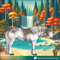 Horse Color:White Spotted Silver Black Sabino