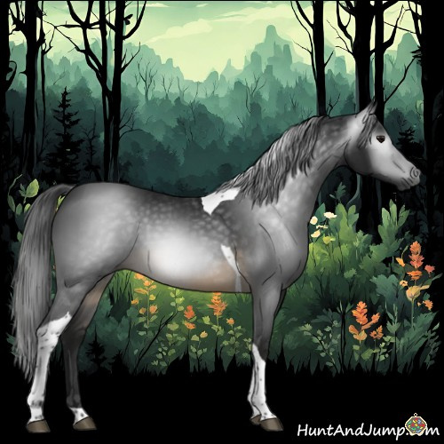 Horse Color:Gray Buckskin Tobiano 