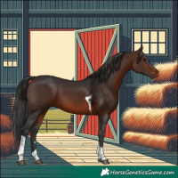 Horse Color:Brown Tobiano