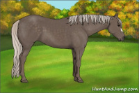 Horse Color:Silver Black 