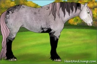 Horse Color:Void Watercolor Perlino Roan Onyx Tobiano