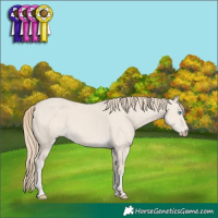 Horse Color:Smoky Creme Dun 